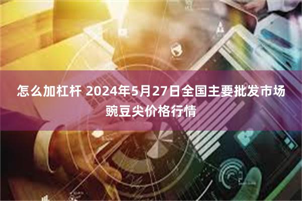 怎么加杠杆 2024年5月27日全国主要批发市场豌豆尖价格行情