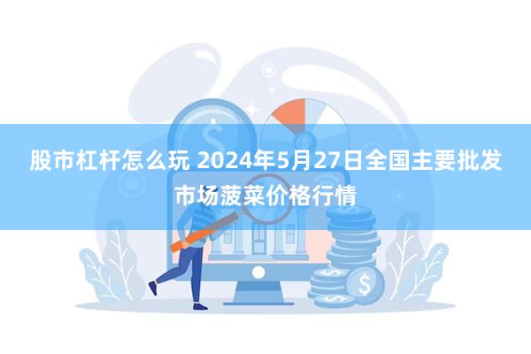 股市杠杆怎么玩 2024年5月27日全国主要批发市场菠菜价格行情