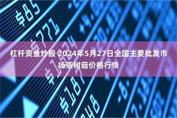 杠杆资金炒股 2024年5月27日全国主要批发市场茶树菇价格行情