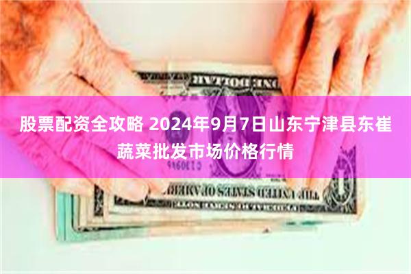 股票配资全攻略 2024年9月7日山东宁津县东崔蔬菜批发市场价格行情