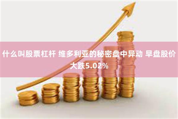 什么叫股票杠杆 维多利亚的秘密盘中异动 早盘股价大跌5.02%