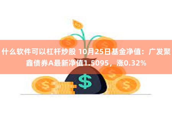 什么软件可以杠杆炒股 10月25日基金净值：广发聚鑫债券A最新净值1.5095，涨0.32%