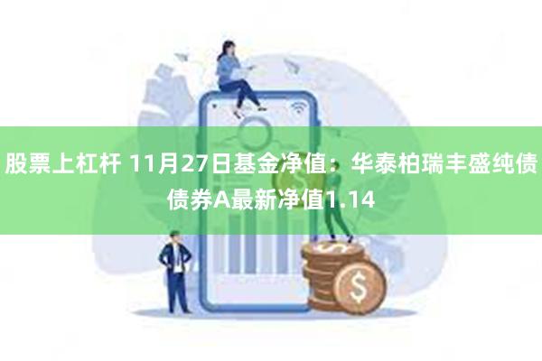 股票上杠杆 11月27日基金净值：华泰柏瑞丰盛纯债债券A最新净值1.14