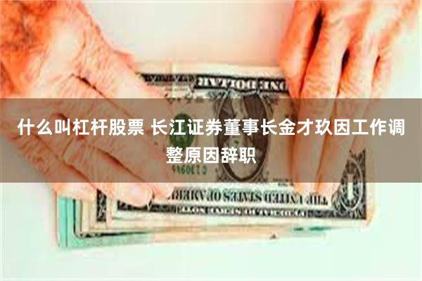 什么叫杠杆股票 长江证券董事长金才玖因工作调整原因辞职